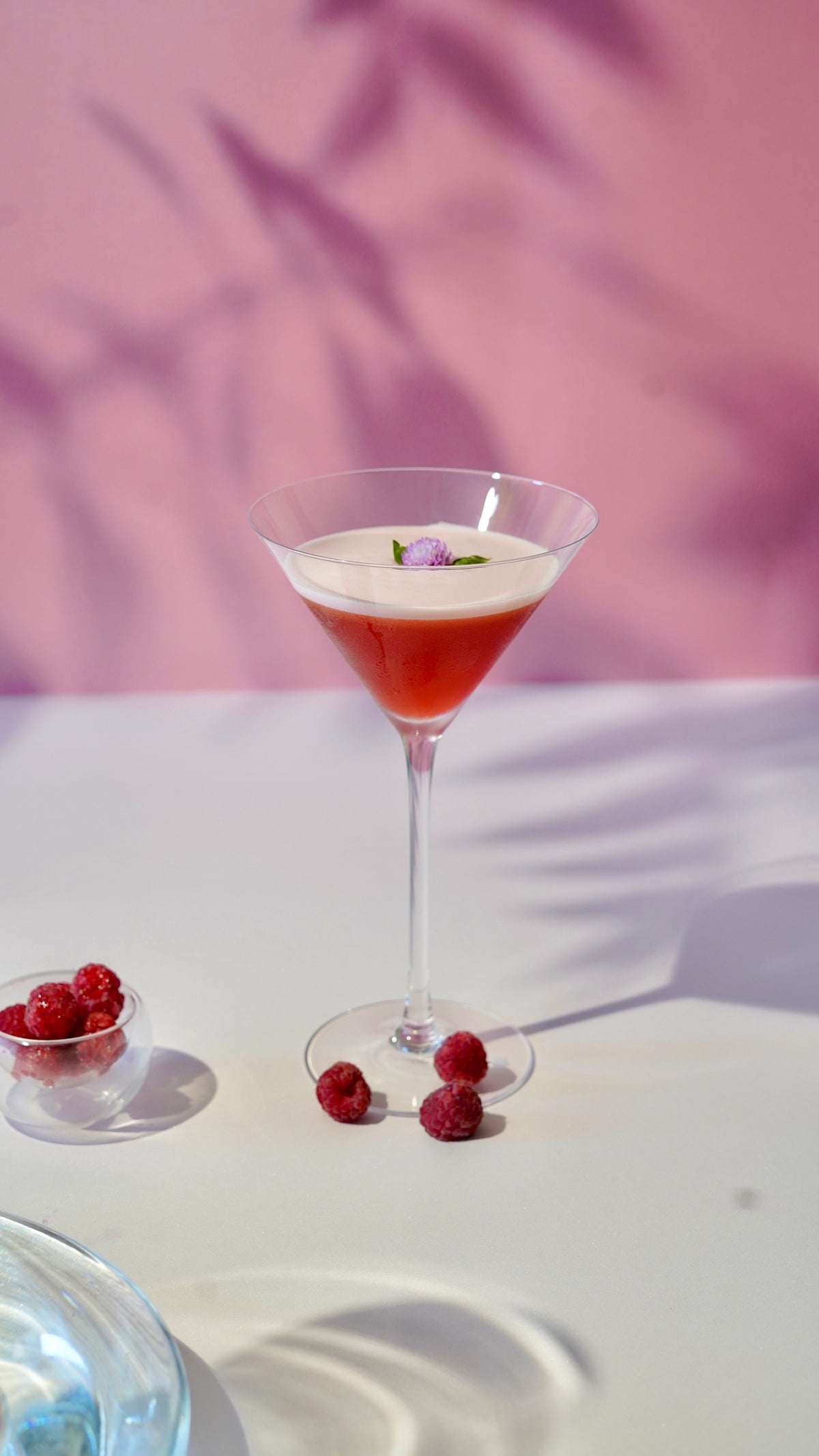 Raspberry Citrus Martini